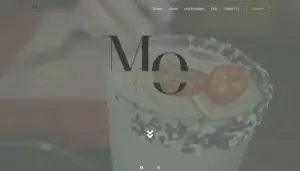 Screenshot MO Bartender Website